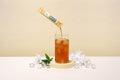 Jasmine Green Tea (Unsweetened)